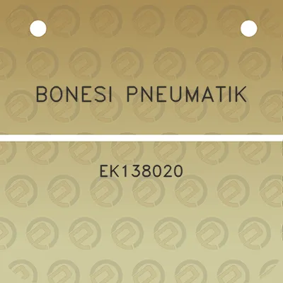 bonesi-pneumatik-ek138020