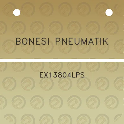 bonesi-pneumatik-ex13804lps