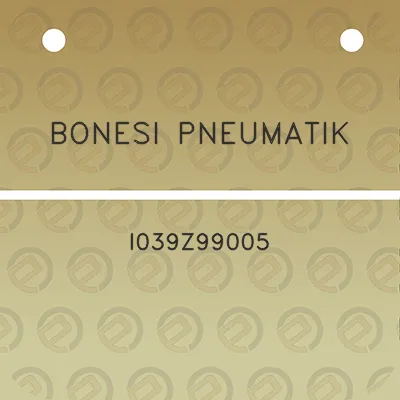 bonesi-pneumatik-i039z99005