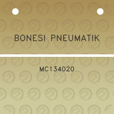 bonesi-pneumatik-mc134020