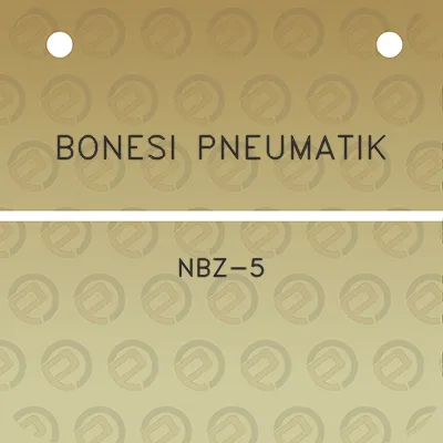 bonesi-pneumatik-nbz-5