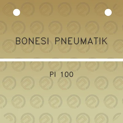 bonesi-pneumatik-pi-100