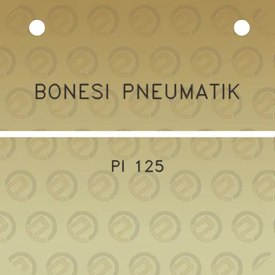 bonesi-pneumatik-pi-125