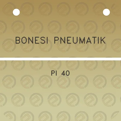 bonesi-pneumatik-pi-40