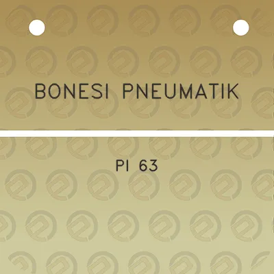 bonesi-pneumatik-pi-63