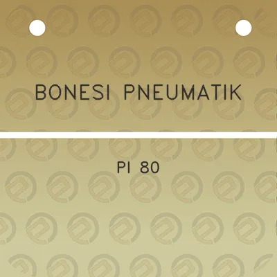 bonesi-pneumatik-pi-80