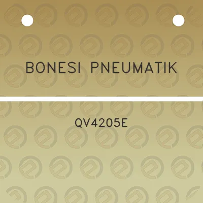 bonesi-pneumatik-qv4205e