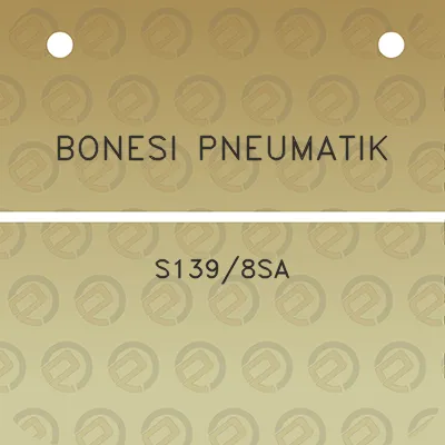 bonesi-pneumatik-s1398sa