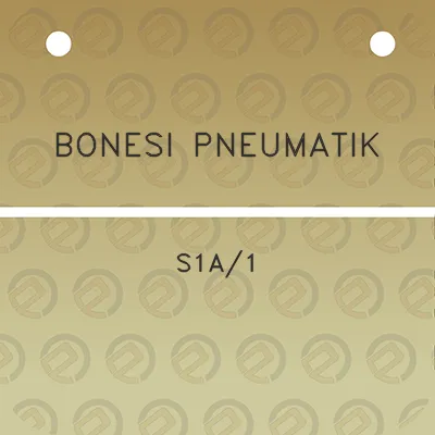 bonesi-pneumatik-s1a1