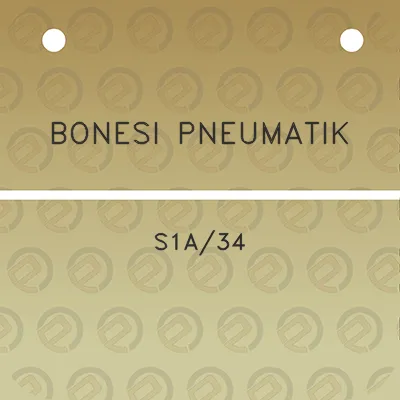 bonesi-pneumatik-s1a34