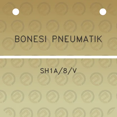 bonesi-pneumatik-sh1a8v