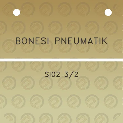 bonesi-pneumatik-si02-32