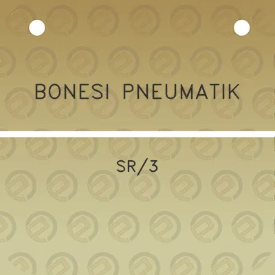 bonesi-pneumatik-sr3