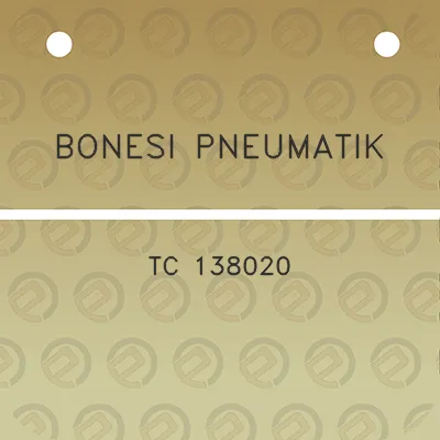 bonesi-pneumatik-tc-138020