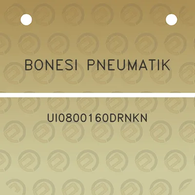 bonesi-pneumatik-ui0800160drnkn