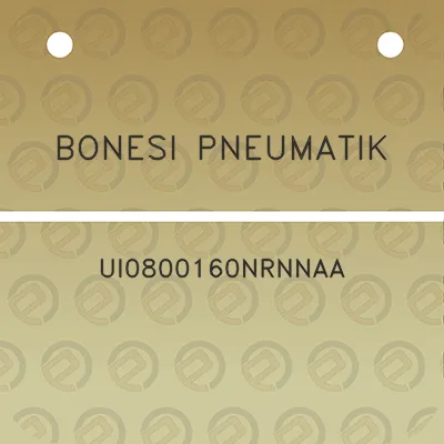 bonesi-pneumatik-ui0800160nrnnaa