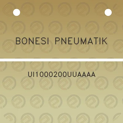 bonesi-pneumatik-ui1000200uuaaaa