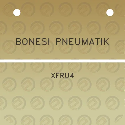 bonesi-pneumatik-xfru4