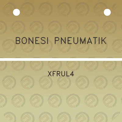 bonesi-pneumatik-xfrul4