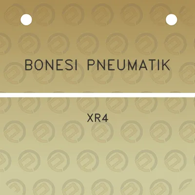 bonesi-pneumatik-xr4