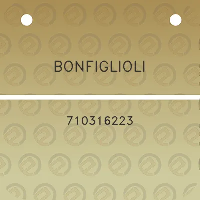 bonfiglioli-710316223