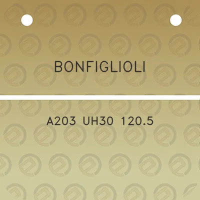 bonfiglioli-a203-uh30-1205