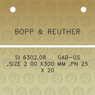 bopp-reuther-si-630208-gab-gs-size-2-00-x300-mm-pn-25-x-20