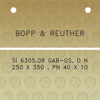 bopp-reuther-si-630508-gab-gs-d-n-250-x-350-pn-40-x-10