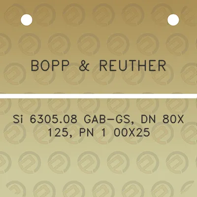 bopp-reuther-si-630508-gab-gs-dn-80x-125-pn-1-00x25