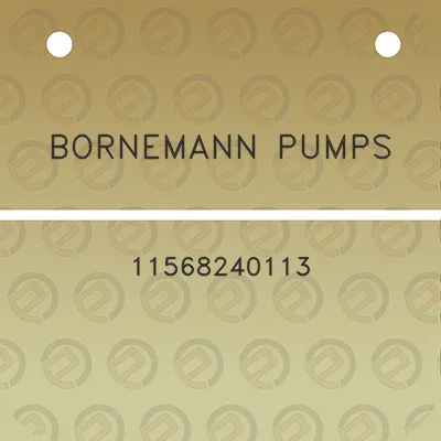 bornemann-pumps-11568240113