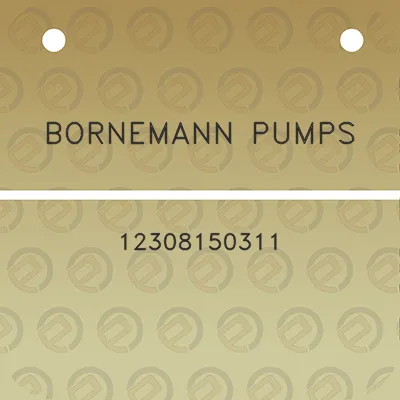 bornemann-pumps-12308150311