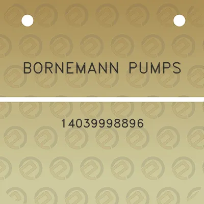 bornemann-pumps-14039998896