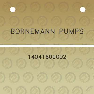 bornemann-pumps-14041609002