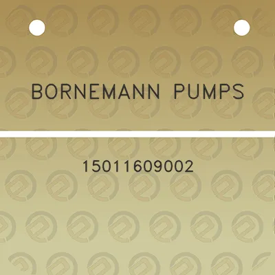 bornemann-pumps-15011609002