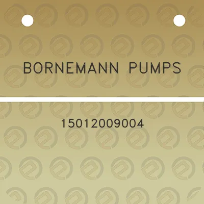 bornemann-pumps-15012009004