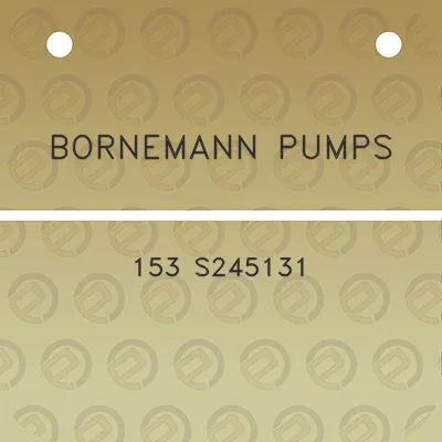 bornemann-pumps-153-s245131