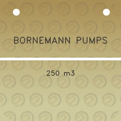 bornemann-pumps-250-m3