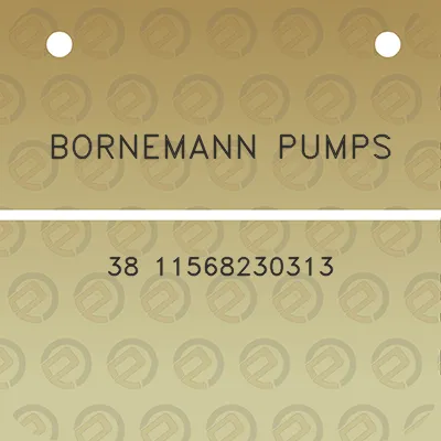 bornemann-pumps-38-11568230313