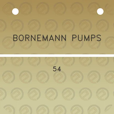 bornemann-pumps-54