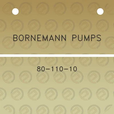 bornemann-pumps-80-110-10