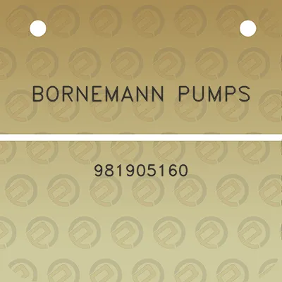 bornemann-pumps-981905160