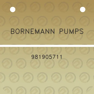 bornemann-pumps-981905711