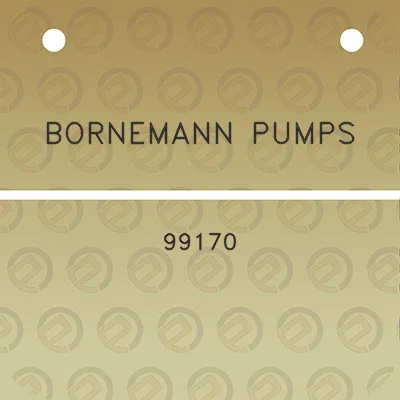 bornemann-pumps-99170