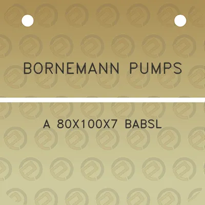 bornemann-pumps-a-80x100x7-babsl