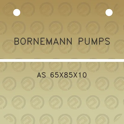 bornemann-pumps-as-65x85x10