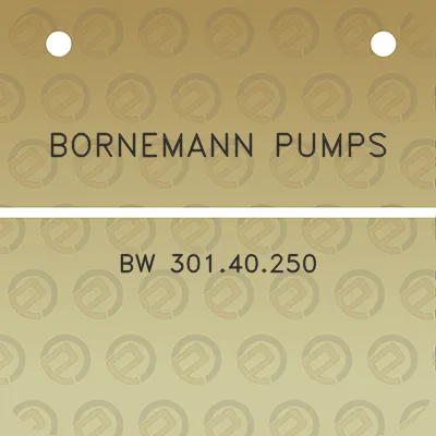 bornemann-pumps-bw-30140250