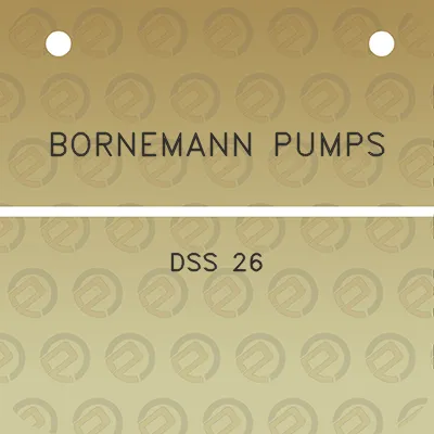 bornemann-pumps-dss-26