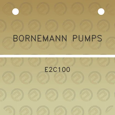 bornemann-pumps-e2c100