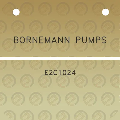 bornemann-pumps-e2c1024