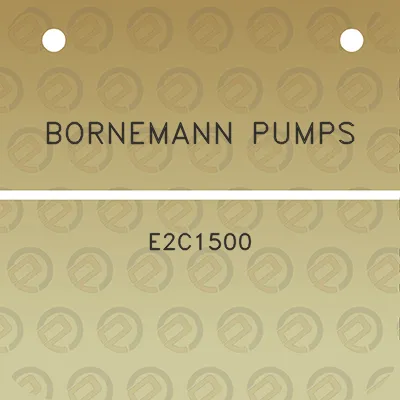 bornemann-pumps-e2c1500